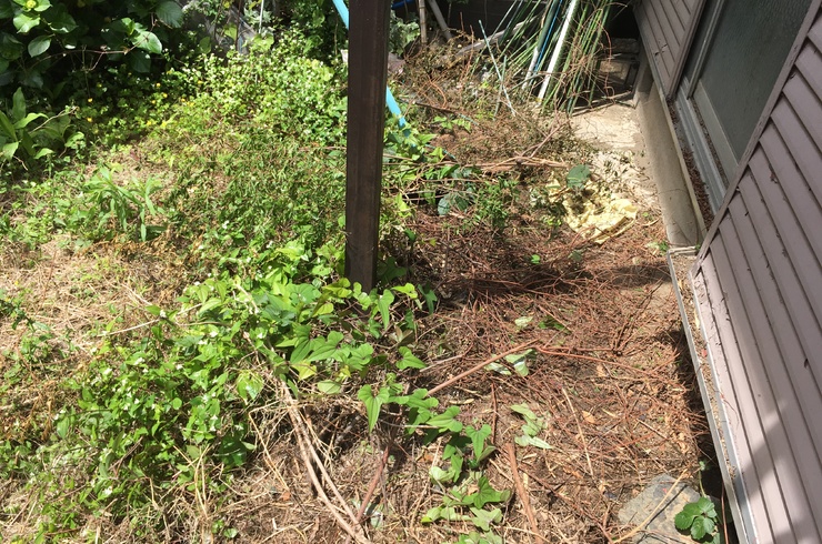 残置物のお片付け前の写真