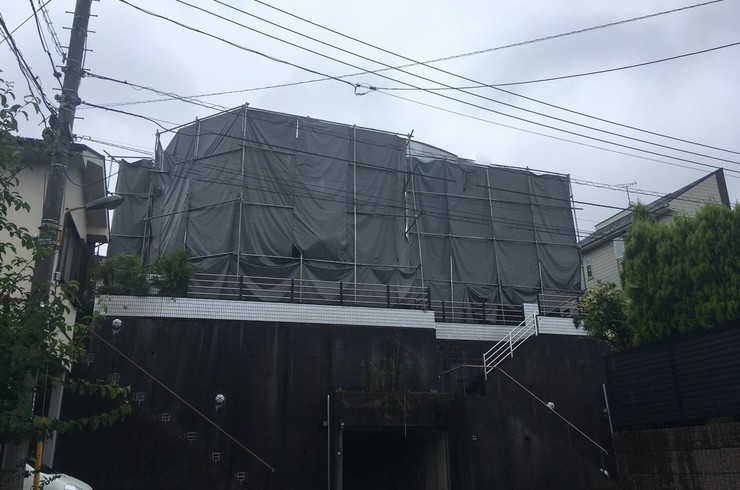 養生写真